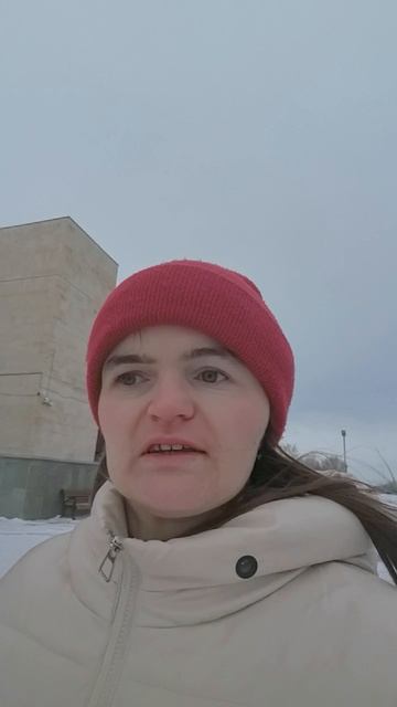 Спешу на московский поезд за дочкиной игрушкой