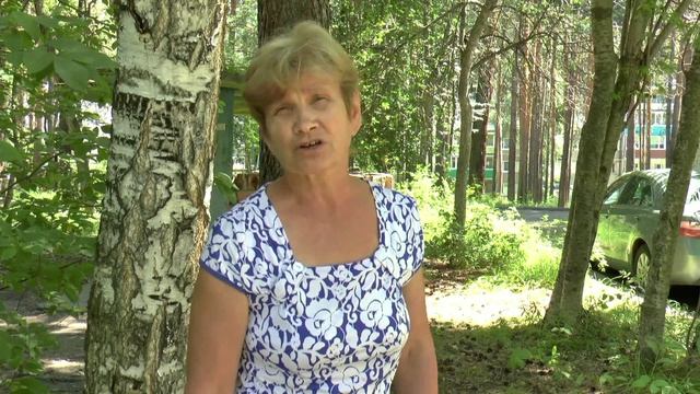 Техинспекция и СНИРТ