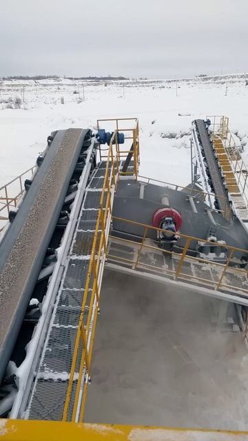 питатель ПП2-12 с спецбункером горизонтальный ротор 2шт гис ленточные конв и ..