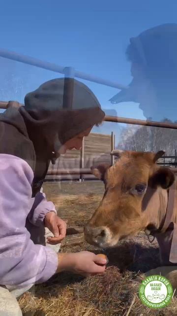 На Планету коров впервые приехал в гости актёр замечательного театра НитьЯ - Алексей Швецов!