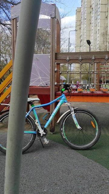 маленький мальчик наблюдения на голубя