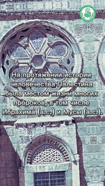 Почему Палестина трогает сердца всех мусульман? палестина секторгаза