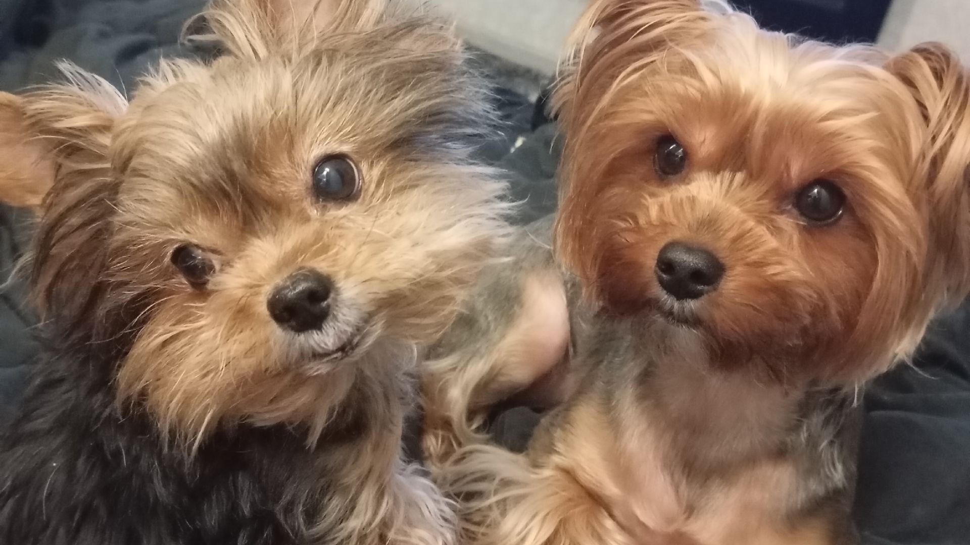 Как хорошо когда тебя дома ждут