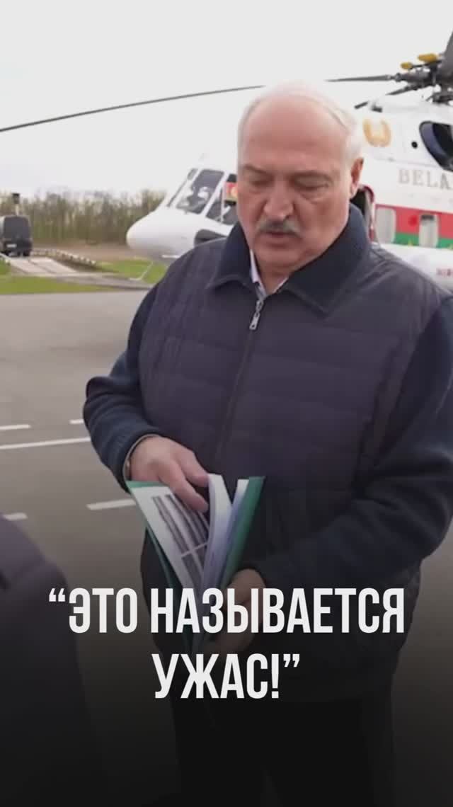 Лукашенко показали шокирующие снимки из Рогачевского района: тянут на уголовное дело!