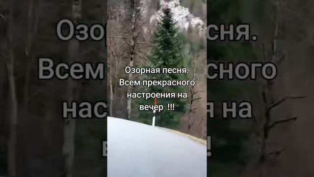 ArtVenka - Где мой женишок 