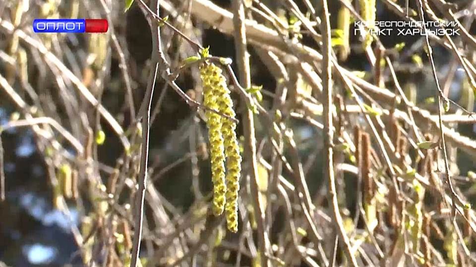 Капризы апрельской погоды