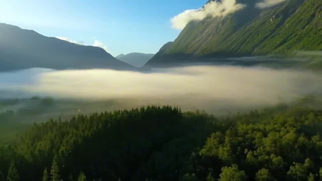 Я умерла и оказалась ДОМА Возвращение на Землю стало моим главным проклятием КЛИНИЧЕСКАЯ СМЕРТЬ