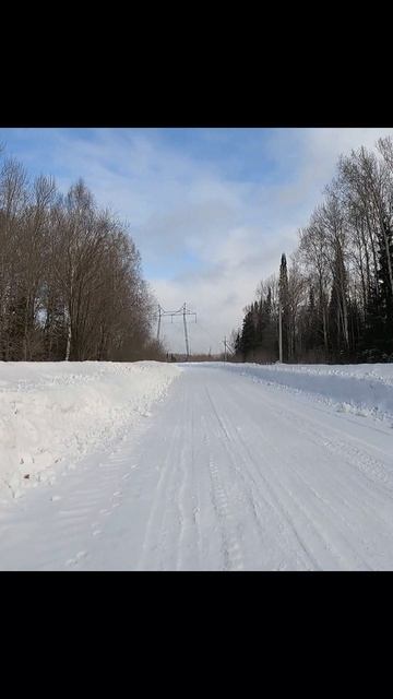 Снежная мышь