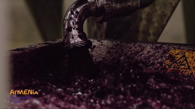 Армения  Armenia  Винный тур - Wine