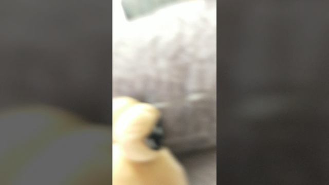 мой мультик 1 сезон 2 серия