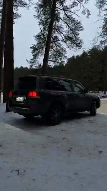 Video_2026-03-03_10-10-35