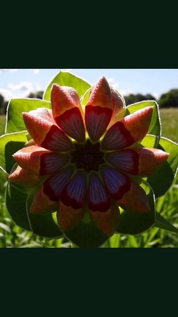 онлайн дистанционно онлайнобщение онлайнобразование онлайнжизнь