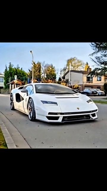 Exclusive Сool Сars