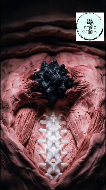 В ЭТИХ МЕСТАХ НА ТЕЛЕ НЕЛЬЗЯ ДЕЛАТЬ ТАТУИРОВКИ