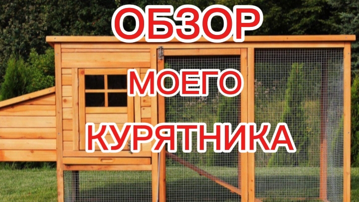 Обзор моего курятника