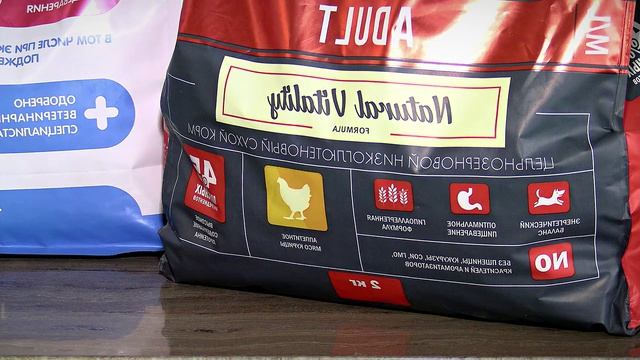 Как поддержать здоровье животных весной