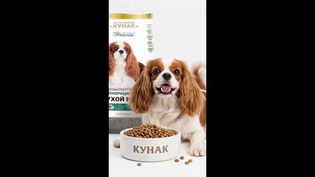 Корм для собак Holistic  класса Кунак с ягненком