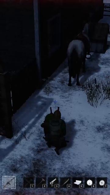 Домовой рейдер HumanitZ