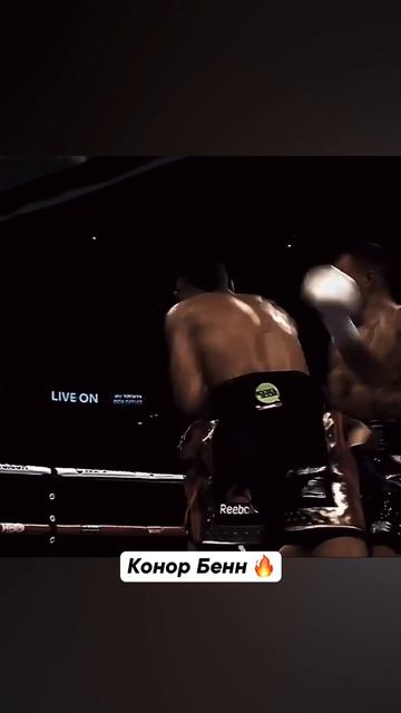 Мощный боксёр 