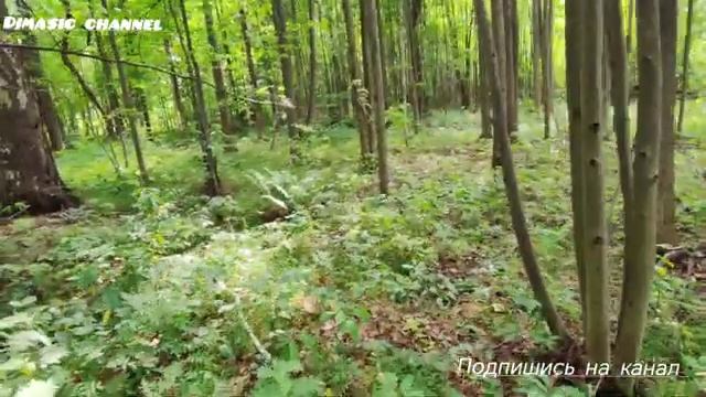 Сельское кладбище Ивановской области