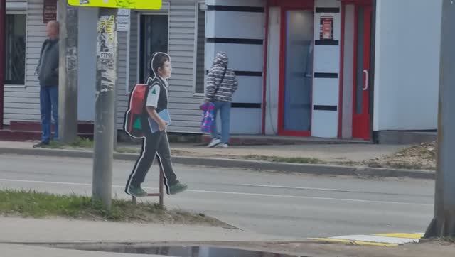 МУЛЯЖ РЕБЁНКА НА ПЕШЕХОДНОМ ПЕРЕХОДЕ. ЧТО ВЫ ОБ ЭТОМ ДУМАЕТЕ???