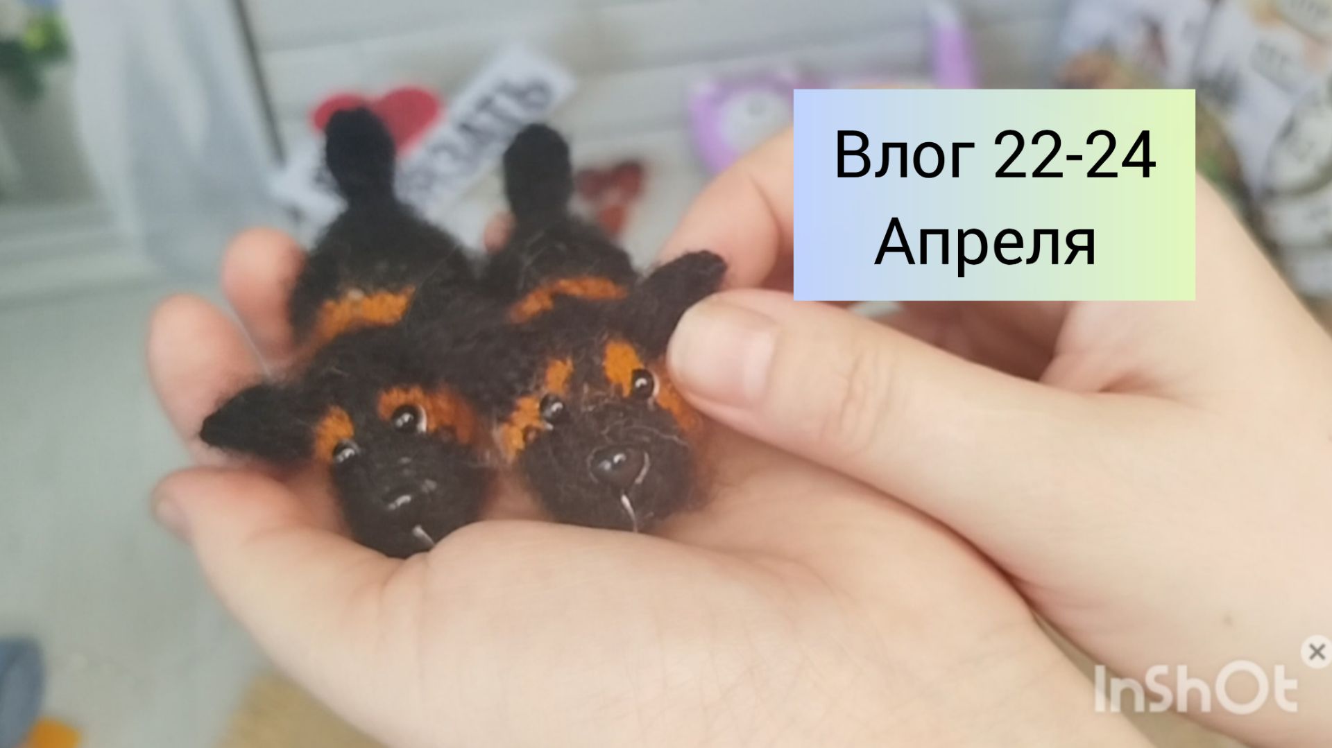 Нас накрыл мощный циклон снежный у меня новая игрушка овчарка получила кукол