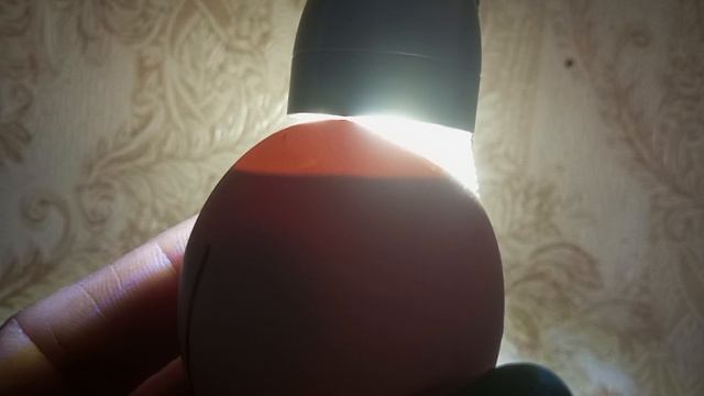 15 сутки инкубации. Проверяю яйца на задохликов. Как выглядит мертвое и живое яйцо.
