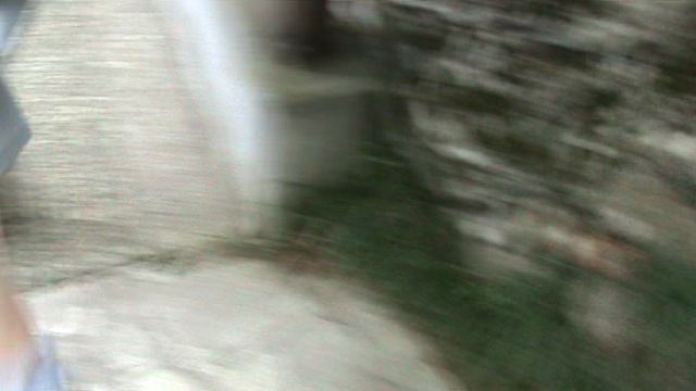 146з ДЕНДАРИ ПАРК СОЧИ