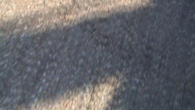 145з ДЕНДАРИ ПАРК СОЧИ