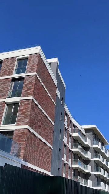 Copy_D86FB718-E7F5-498A-AD00-FD8802501326