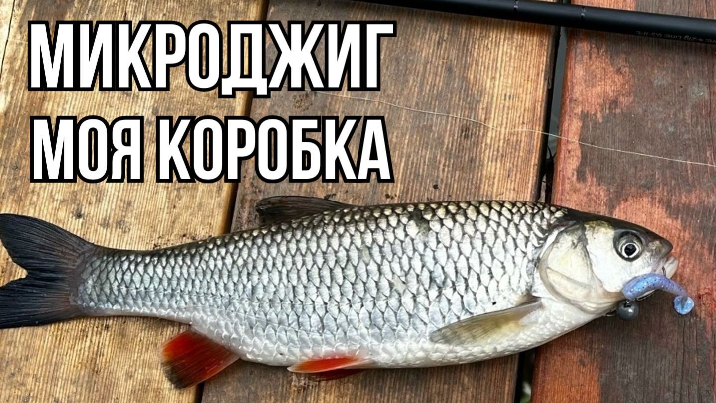 Мой ТОП приманок для микроджига. На что я ловлю сам