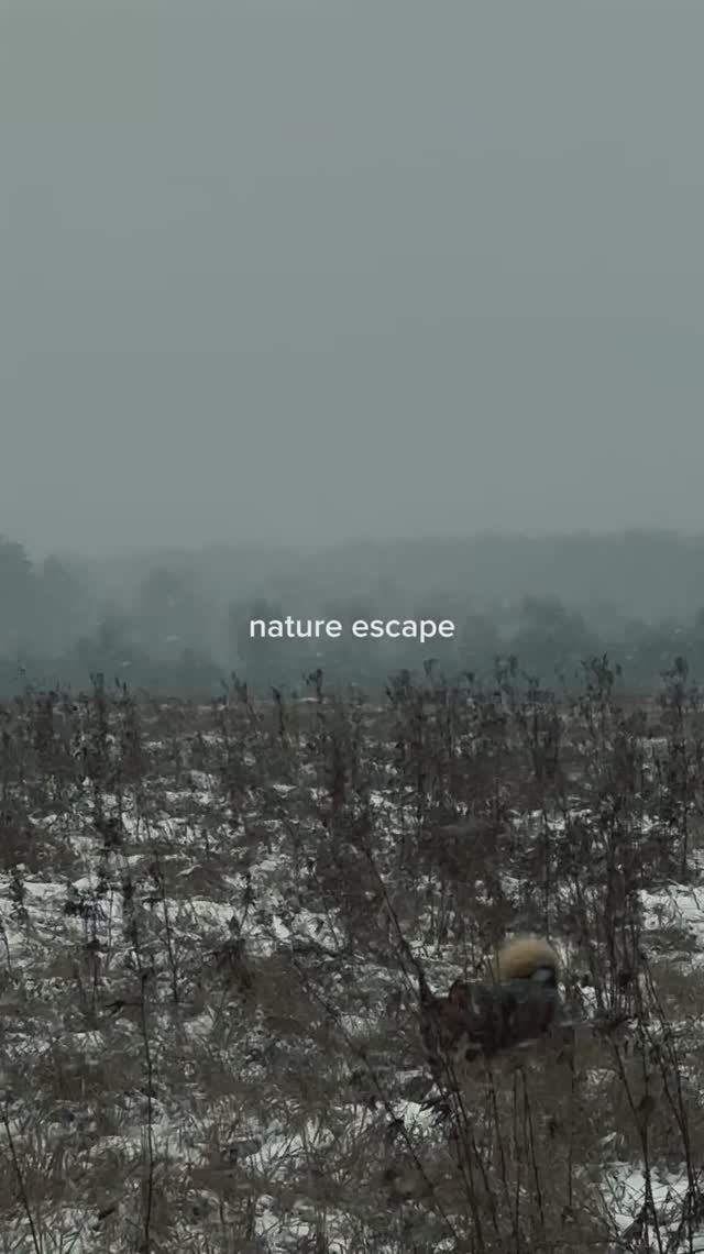 Open Up To The World And It Will Open Up In Response  Откройся миру и он откроется в ответ