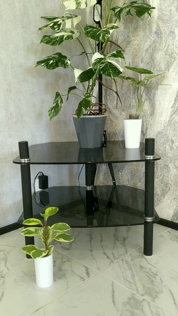 Душ для растений