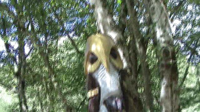 155и МАМЕДОВОЕ УЩЕЛЬЕ ВИОЛЕТТА