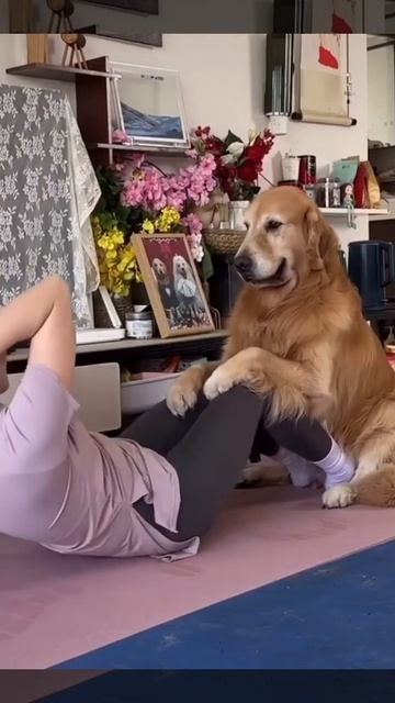 VID_20260424_154202_132.mp4