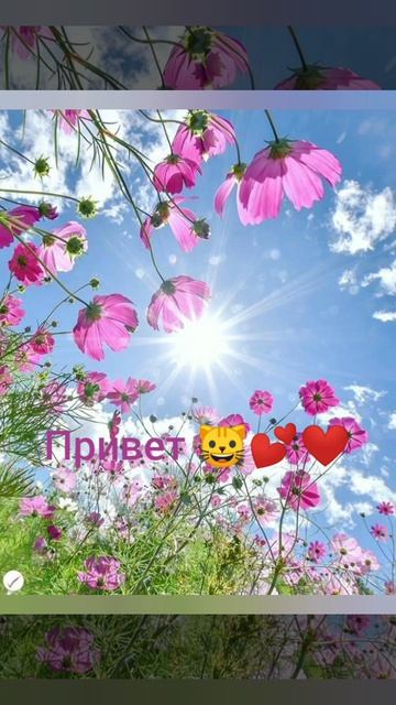 YouCut_20260424_185859274.mp4