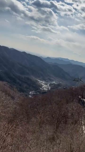 Учительница какой умный дядя