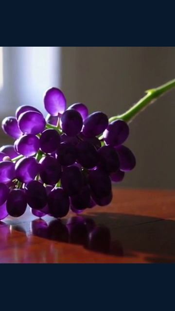 тревогаотренда трендовыйконтент актуально модаидизайн советыполезности тренды2023