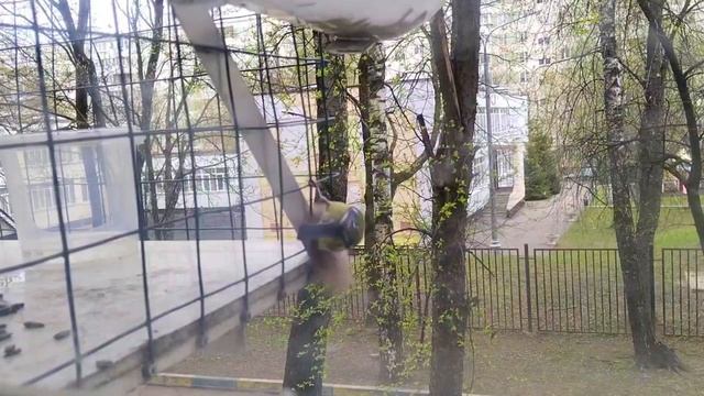 ЛАЗОРЕВКА СОБИРАЕТ ШЕРСТЬ от КОШКИ для СВОЕГО ГНЕЗДА