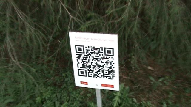 153з ДЕНДАРИ ПАРК СОЧИ