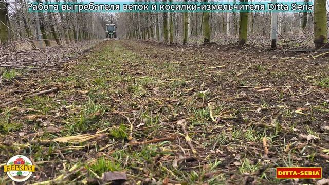 Работа выгребателя веток и косилки-измельчителя САД