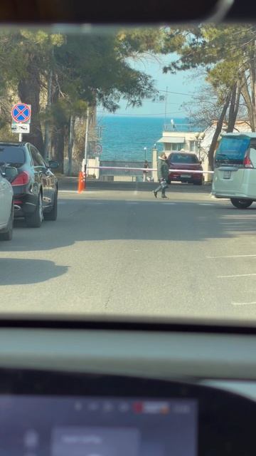 Просто еду к МОРЮ