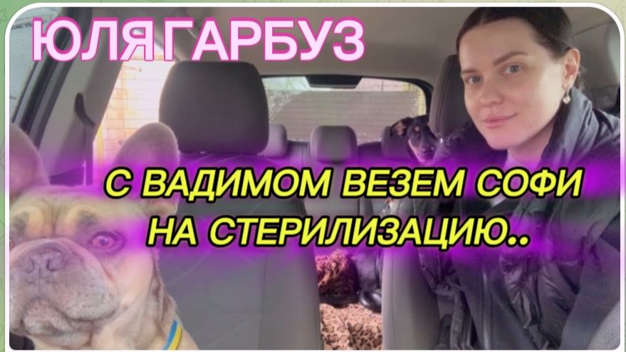 САМВЕЛ АДАМЯН ЮЛЯ ГАРБУЗ ВЕЗЕМ СОФИ НА СТЕРИЛИЗАЦИЮ С ВАДИМОМ.