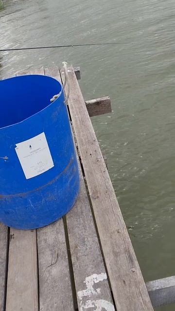 запуск24.04.mp4