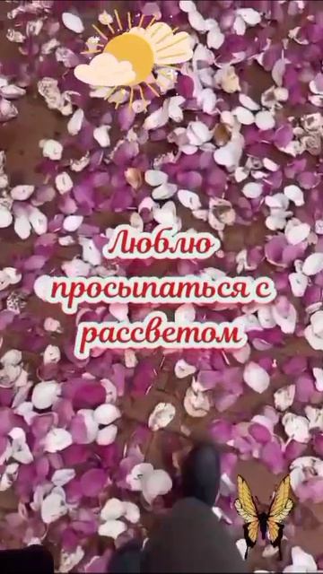 1b172896-4884-4496-b7b2-cce8ef359e5c.mp4