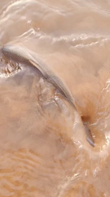 рыбалка природа