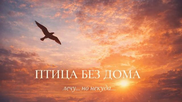 ПТИЦА БЕЗ ДОМА. Эмоциональная песня