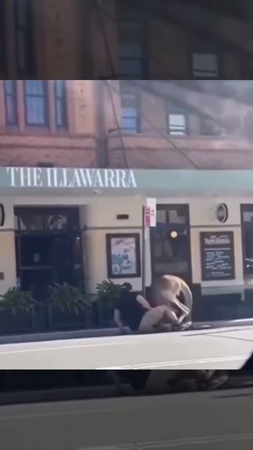 Двое граждан Австралии выясняют отношения