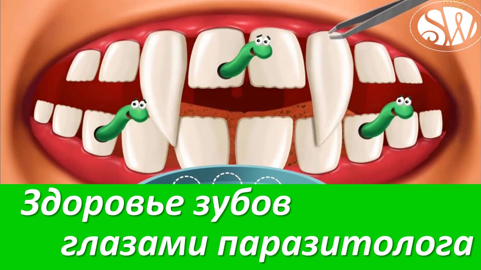 Здоровье зубов глазами паразитолога