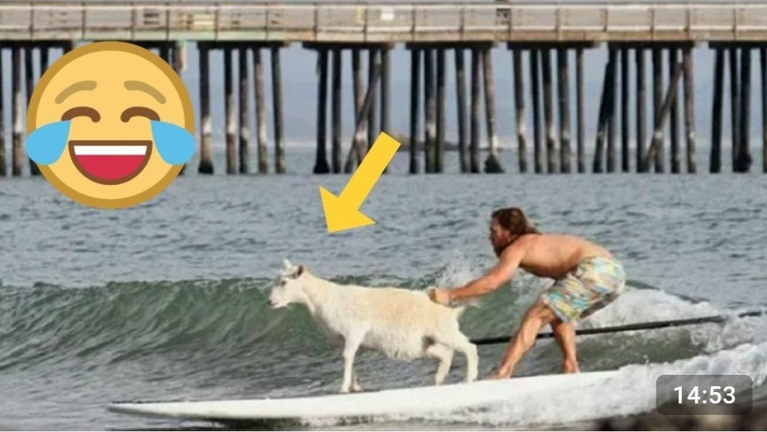 Смешная подборка с тик-ток Я ржал до слез  20 Минут смеха Смешные видео Приколы за апрель 2026